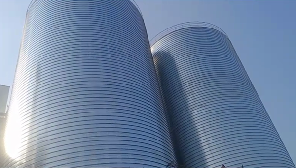 荥阳2座混凝土高架卷板仓